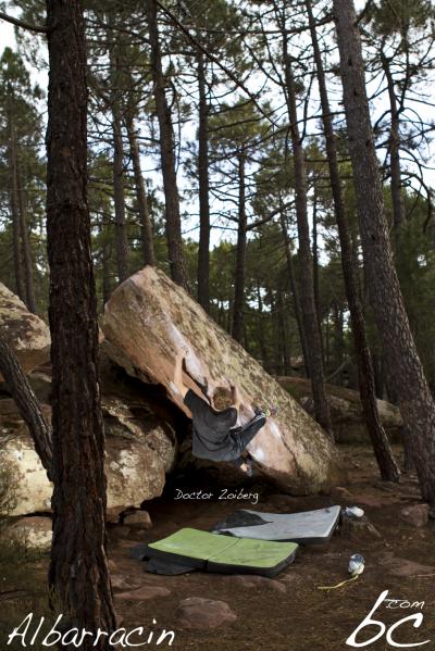 Max in "Doctor Zoiberg"